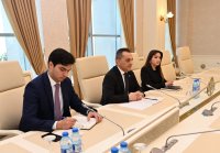 Milli Məclisdə argentinalı deputatla görüş