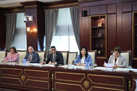 Mədəniyyət komitəsinin iclasında Mədəniyyət komitəsinin iclasında